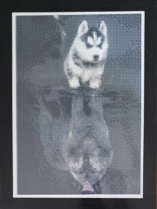 Dog and Wolf's Reflection Completed Diamond Art